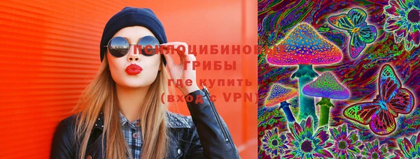 крисы Аркадак