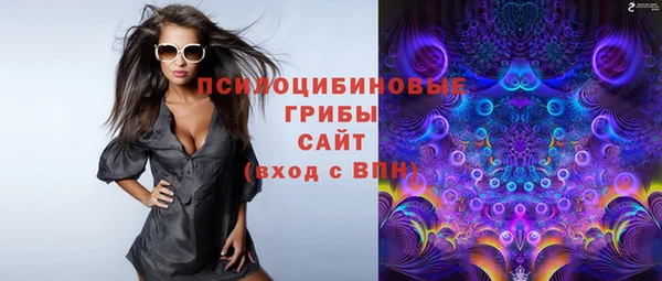 герыч Арсеньев