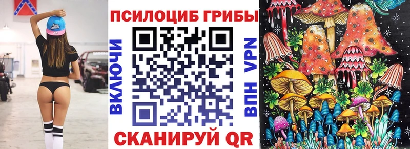 как найти закладки  Приозерск  Псилоцибиновые грибы MAGIC MUSHROOMS 